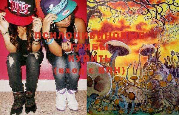 гидра Пестово