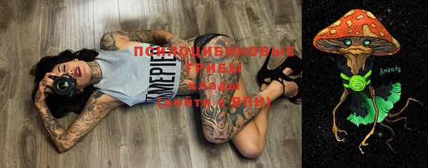 a pvp Пересвет