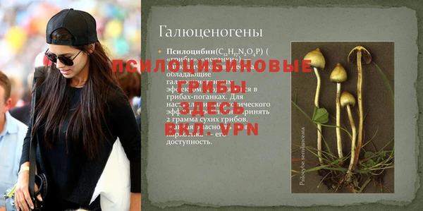 гидра Пестово