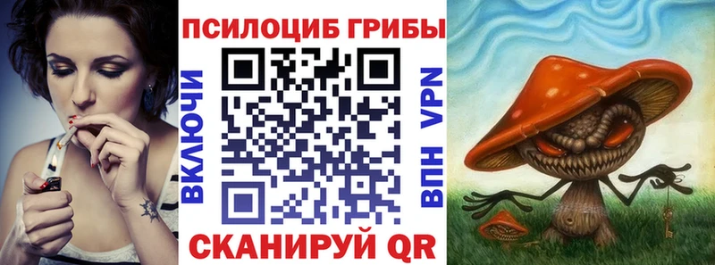 Купить Калуга Псилоцибиновые грибы мухоморы